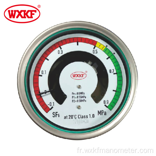 Densité de gaz Analyseur de gaz SF6 avec indicateur local